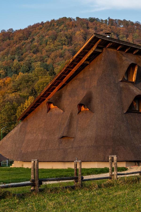 Отель Cuibul De Lemn Рышнов Экстерьер фото